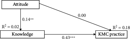 Predictors of Knowledge, Attitude, and Practice of Kangaroo Mother Care Among Mothers in a Ghanaian Tertiary Care Center.