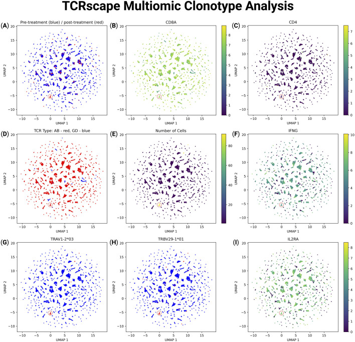 TCRscape: a single-cell multi-omic TCR profiling toolkit.