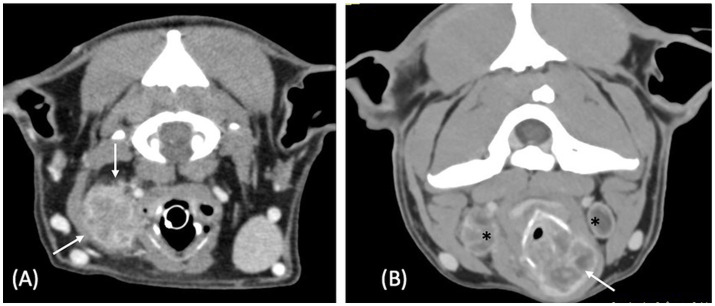 Computed tomographic appearance of laryngeal lesions in 7 dogs.