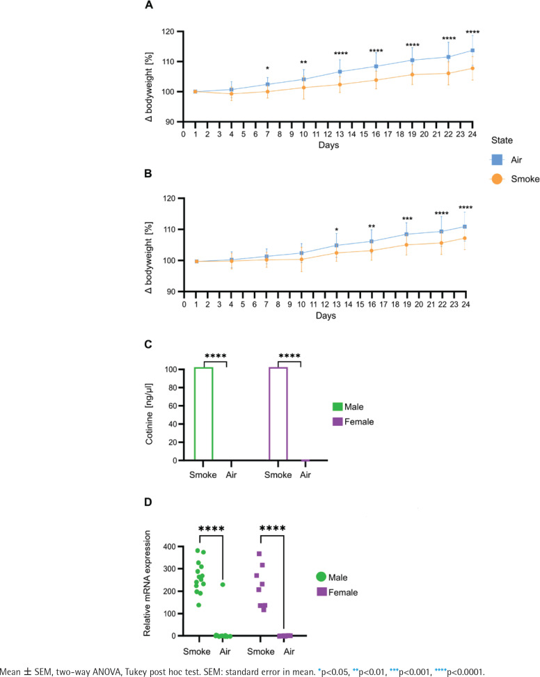 Mouse model validity for studying the impact of tobacco smoke on the human gut microbiota assessed via in silico and experimental approaches.