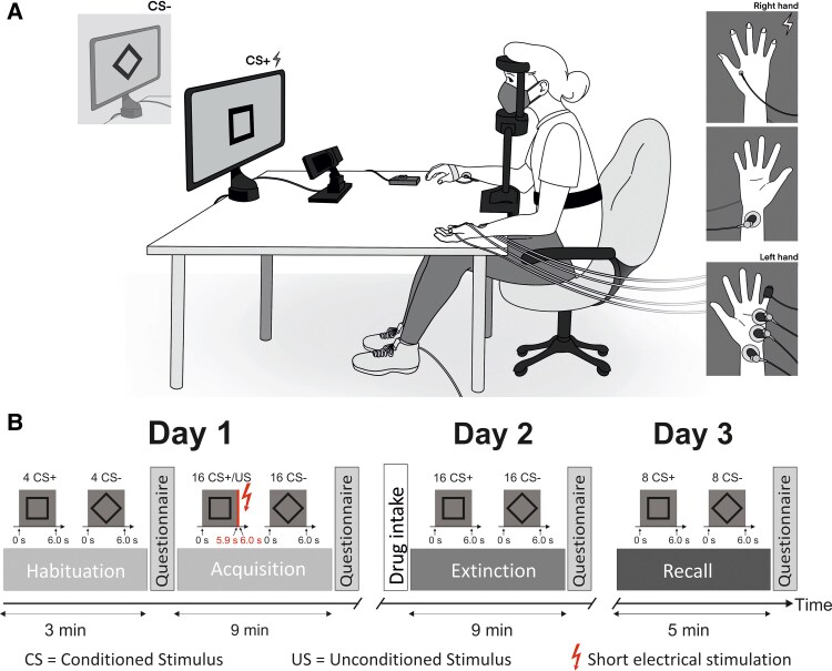 Dopaminergic drugs modulate fear extinction-related processes in humans, but effects are mild.