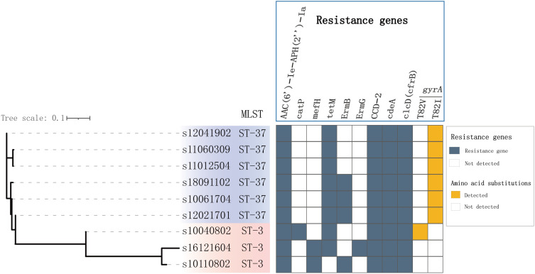 Characterization of High-Linezolid-MIC <i>Clostridioides difficile</i> Isolated from a Chinese Hospital: First Genomic Evidence of <i>Cfr</i>(B) Transmission and Tn<i>6218</i> Association.