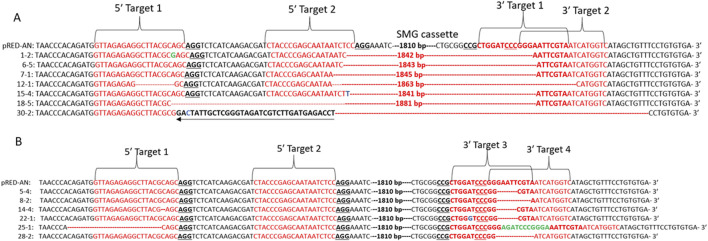 Application of a multiplex CRISPR/Cas9 strategy for elimination of selection markers from transgenic plants.