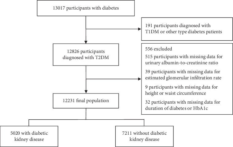 Relationship Between Body Roundness Index and Diabetic Kidney Disease in Patients With Type 2 Diabetes Mellitus: A Population-Based Study.