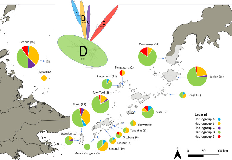 Insights into the mitochondrial DNA genetic diversity and affinities of village chickens from the Sulu Archipelago, Philippines.