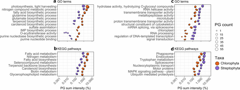 Algae-dominated metaproteomes uncover cellular adaptations to life on the Greenland Ice Sheet.