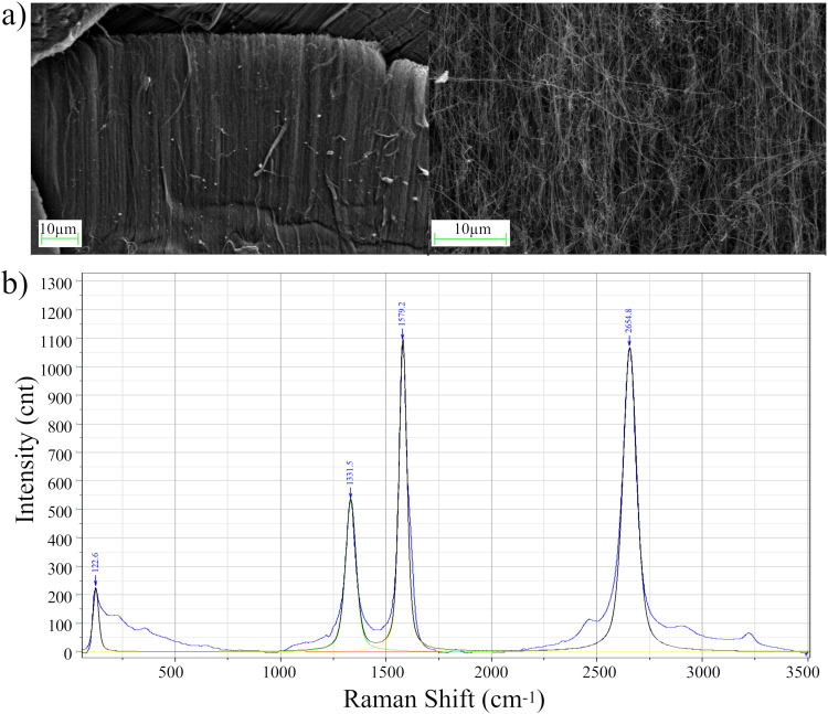 Alternative Metallocenes in Floating Catalyst-CVD: Synthesis of Novel Carbon Nanostructures.