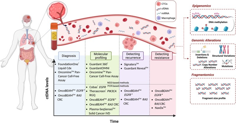 Circulating Tumor DNA detection in cancer: a comprehensive overview of current detection methods and prospects.