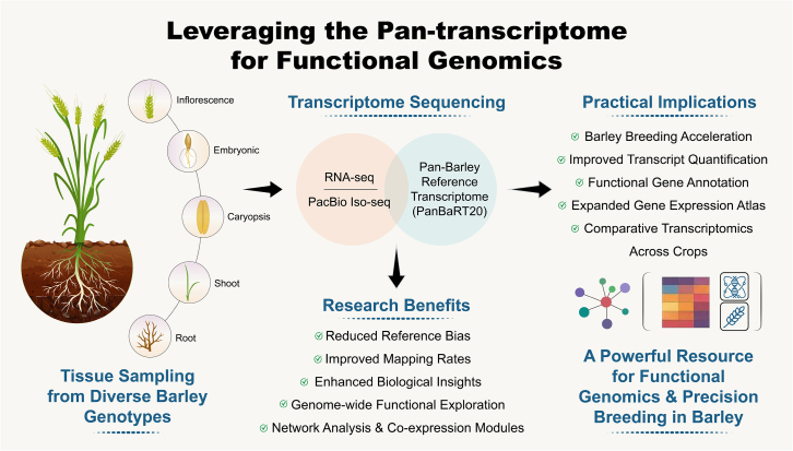 Beyond gene sequences: Pan-transcriptome links transcriptional complexity to functional diversity.