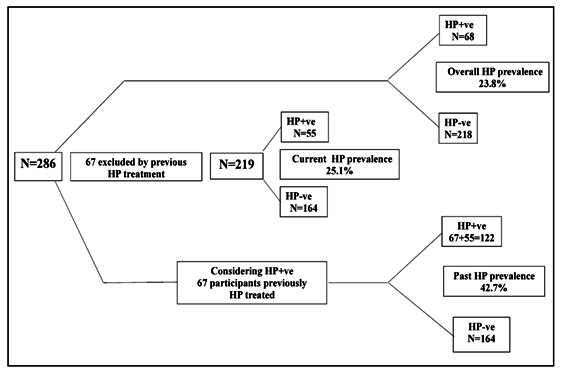 PREVALENCE OF HELICOBACTER PYLORI INFECTION AMONG GASTROENTEROLOGISTS AND GASTROENDOSCOPISTS IN BRAZIL.