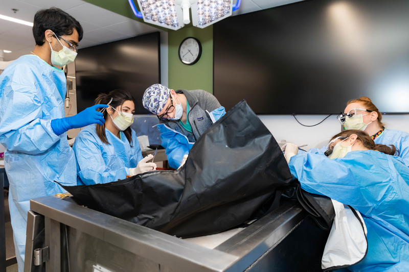 Plastics Makes Perfect: A Collaborative, Cost-effective Approach to Multilevel Cadaveric Learning.