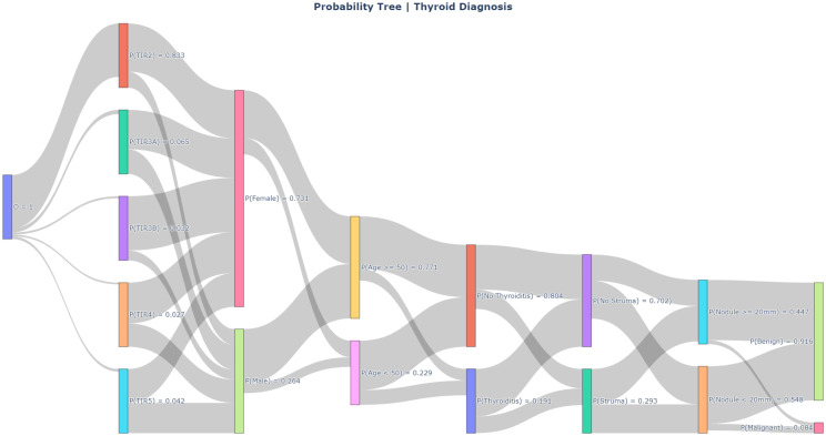 Assisting clinical diagnosis with interpretable fuzzy probabilistic modelling.