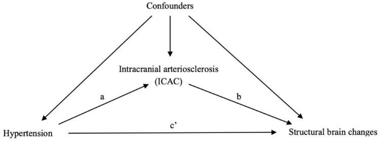 Hypertension, intracranial arteriosclerosis, and structural brain changes in patients with TIA or ischemic stroke.
