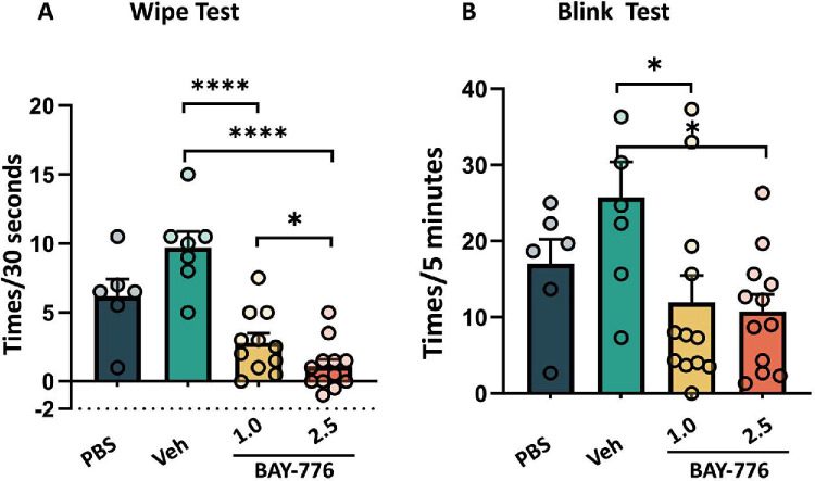 P2X4 Receptor Antagonist Ameliorates Ocular Pain in Rats After Lacrimal Gland Removal.