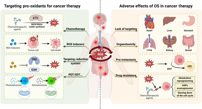Triaptosis and Cancer: Next Hope?