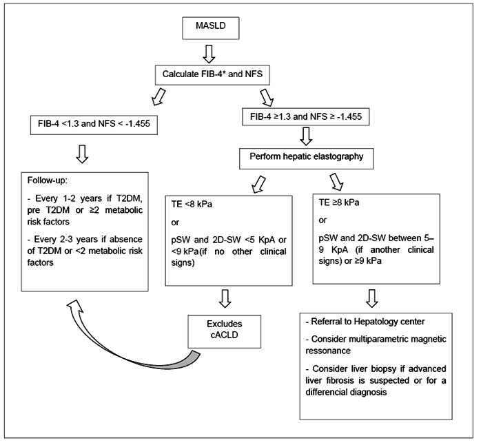 METABOLIC DYSFUNCTION-ASSOCIATED STEATOTIC LIVER DISEASE: UPDATE.