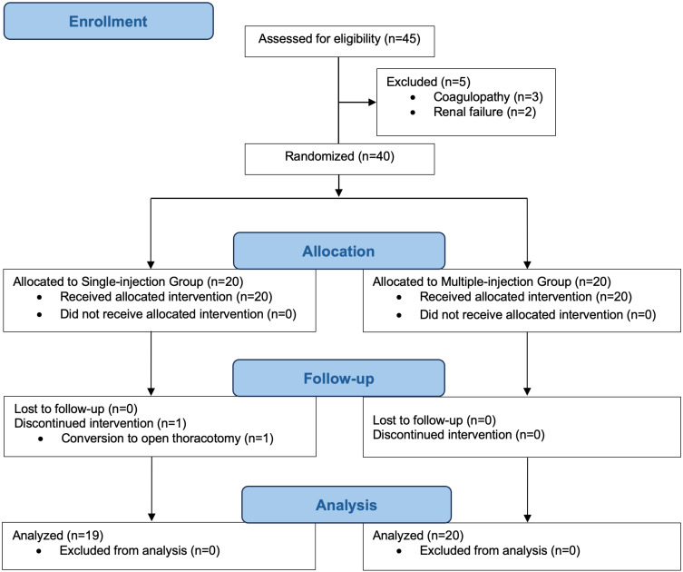 Single- versus Multiple-Injection Intertransverse Process Block for VATS: A Randomized Trial on Dermatomal Sensory Blockade.