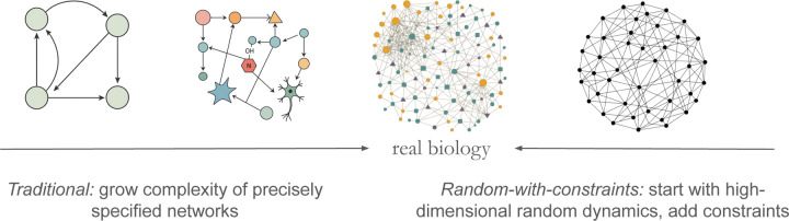 Randomness with constraints: constructing minimal models for high-dimensional biology.