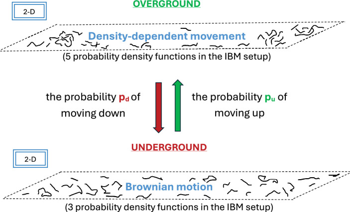 Revealing the effect of a hidden dimension on slug spatial distributions in arable fields.