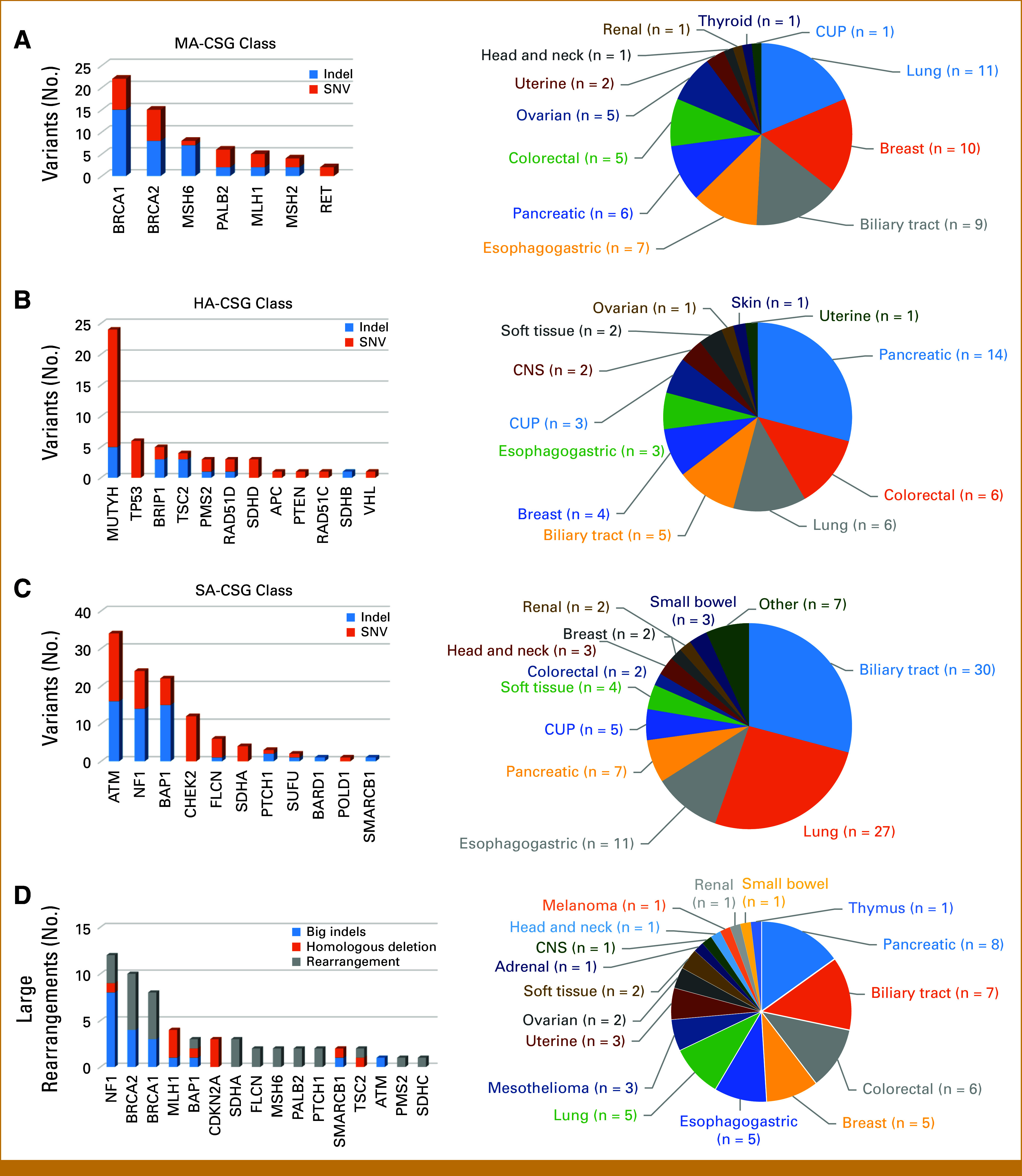 Germline Findings From Tumor-Only Comprehensive Genomic Profiling in the RATIONAL Study: A Missed Opportunity?