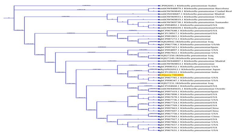 Comprehensive Genomic Characterization of a Drug-Resistant <i>Klebsiella pneumoniae</i> Clinical Isolate in Iraq Using Whole Genome Sequencing.