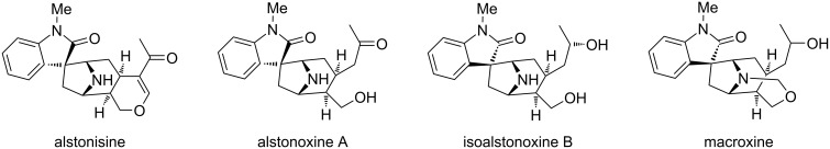 Preparation of spirocyclic oxindoles by cyclisation of an oxime to a nitrone and dipolar cycloaddition.