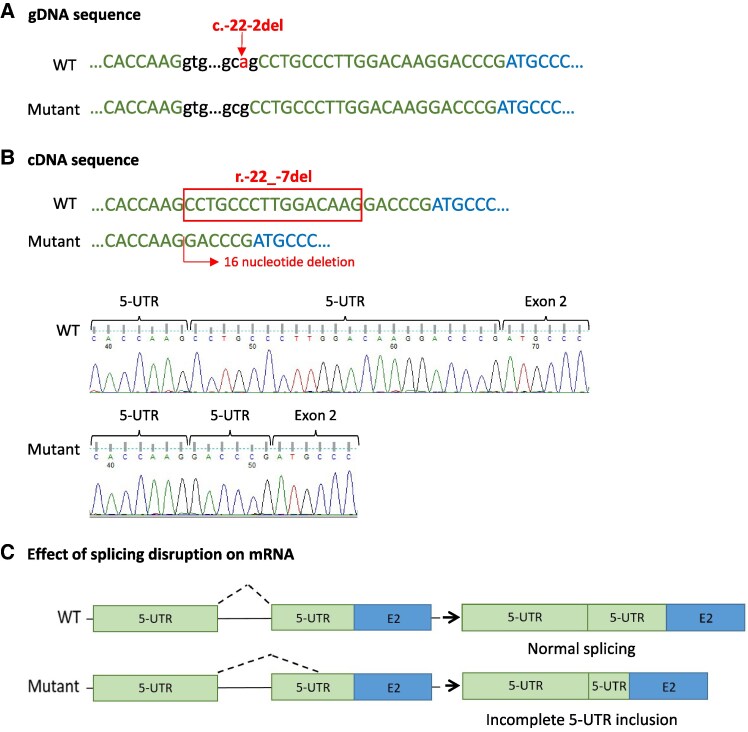 Searching for Monogenic Autoimmune Etiology in Patients With Type 1 Diabetes Onset Before 30 Months of Age.