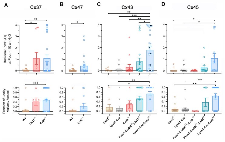 Hierarchical Requirement for Endothelial Cell Connexins Cx37, Cx47, Cx43, and Cx45 in Lymphatic Valve Function.