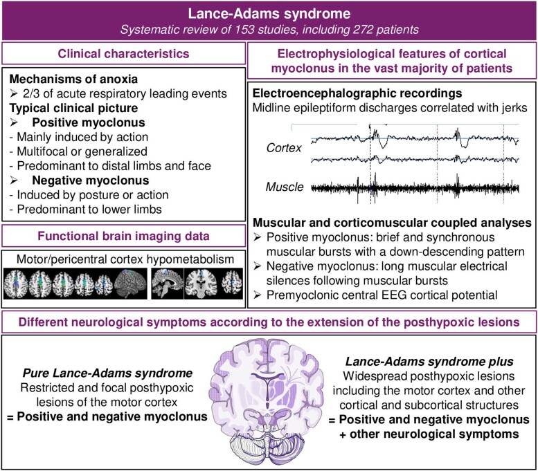 Lance-Adams syndrome or chronic post-hypoxic myoclonus in adults: a systematic literature review.