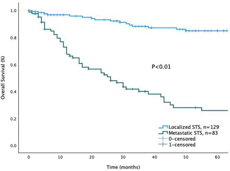 Characteristics and Outcomes of Soft Tissue Sarcoma in Saudi Arabia: A 10-Year Experience.
