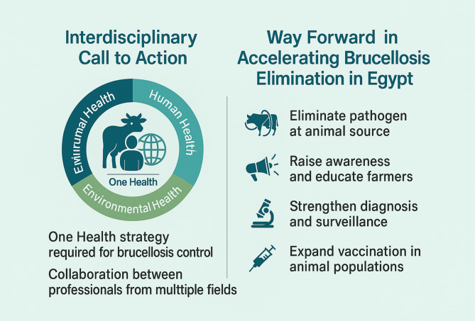 A scoping review of the national strategy for brucellosis control in Egypt: logic framework, challenges, and prospects.