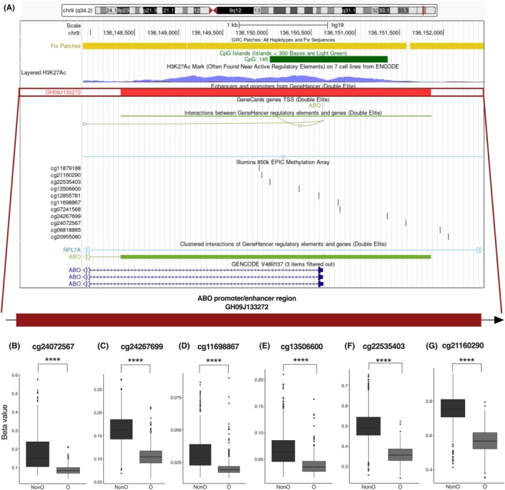 Altered DNA methylation of the ABO gene is associated with differential plasma levels of von willebrand factor and E-selectin.