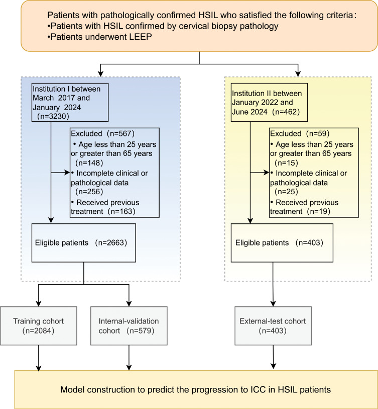 Prediction Models of Microinvasive Cervical Cancer in High-Grade Squamous Intraepithelial Lesion Treatment by Loop Electrosurgical Excision Procedure.