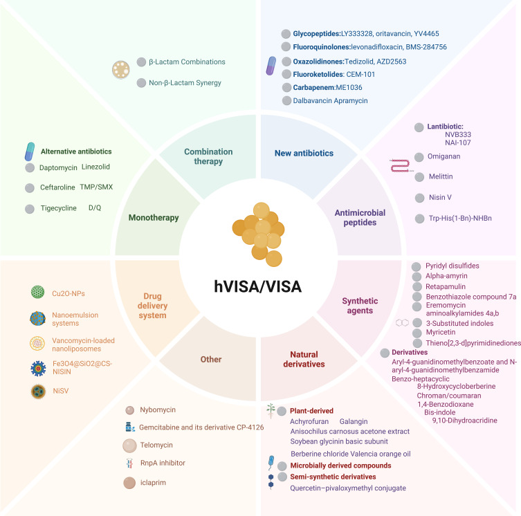 Emerging Antimicrobial Strategies Against Heterogeneous and Vancomycin-Intermediate <i>Staphylococcus aureus</i>.