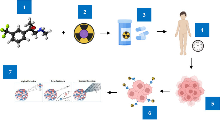 Role of Radioiodine in Cancer Therapy: A Review of the Design and Challenges in Selecting Radioligands from Natural Sources.