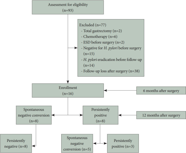 Characteristics Associated With Spontaneous Helicobacter pylori Clearance After Subtotal Gastrectomy in Patients With Gastric Cancer.