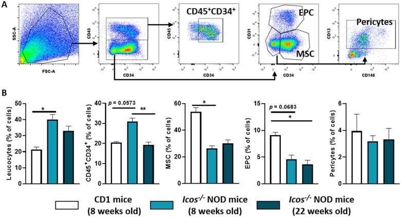 Preclinical efficacy of adipose-derived cell therapies for the treatment of myositis.