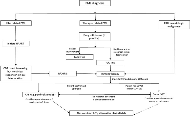 JC Polyomavirus Infection: A Narrative Review.