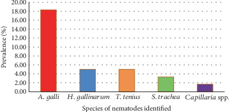 Coprological Detection of Gastrointestinal Nematodes in Intensively Managed Poultry Farms in Bishoftu, Ethiopia.