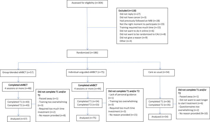 Randomized Controlled Trial of Group-Blended and Individual-Unguided Online Mindfulness-Based Cognitive Therapy to Reduce Psychological Distress in People With Cancer.