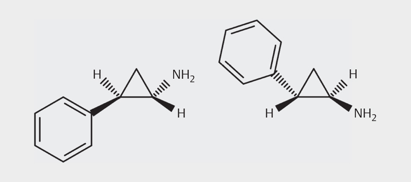 [Psychopharmacotherapy with the MAO-inhibitor Tranylcypromine Key Aspects and Trends in Theory and Practice].