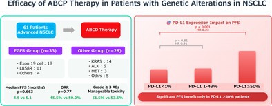 Efficacy of Atezolizumab, Bevacizumab, Carboplatin, and Paclitaxel Therapy in Patients With Genetic Alterations in Non-Small Cell Lung Cancer.