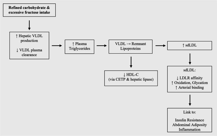 Dietary Management of Atherogenic Dyslipidemia.