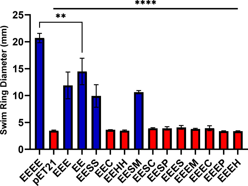 Rescue of bacterial motility using two- and three-species FliC chimeras.