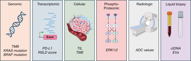 Biomarkers of immunotherapy response in neuro-oncology.