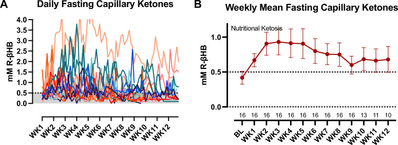 A pilot study examining a ketogenic diet as an adjunct therapy in college students with major depressive disorder.