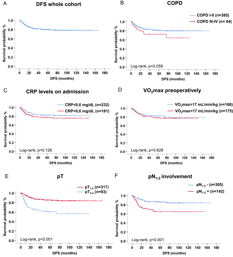 COPD Severity as an Independent Predictor of Long-Term Survival in Operable Lung Cancer: A Retrospective Analysis from a High-Volume Thoracic Surgery Center.