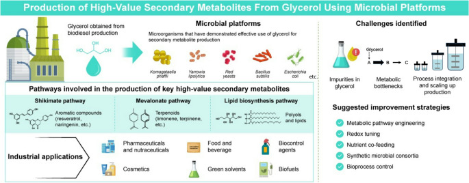 Harnessing glycerol for secondary metabolite biosynthesis in microorganisms.
