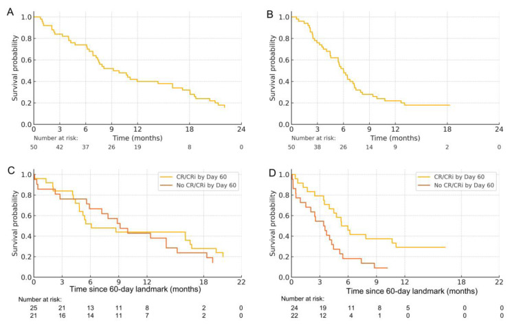 Efficacy of Venetoclax Combined with Azacitidine in Elderly Patients with Relapsed Acute Myeloid Leukemia.
