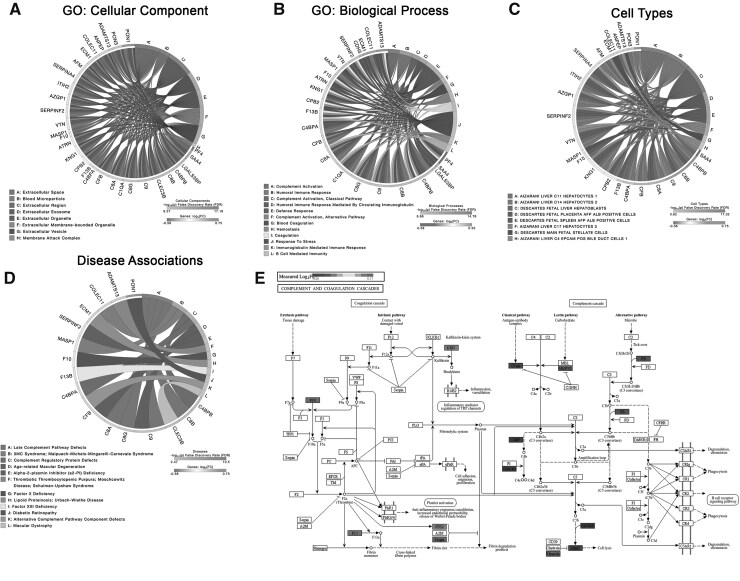 Proteomic discoveries in hypermobile Ehlers-Danlos syndrome reveal insights into disease pathophysiology.